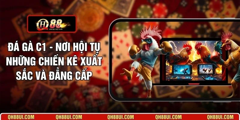 Đá Gà C1